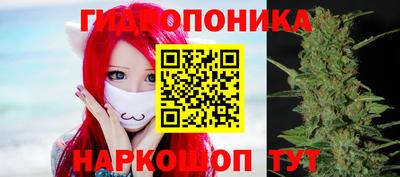 амф Ачхой-Мартан